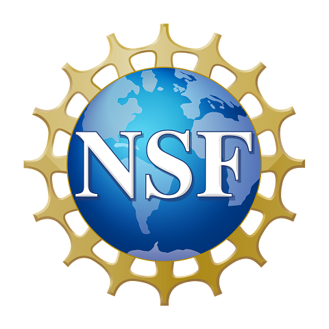 NSF_Official_logo_High_Res_1200ppi.png